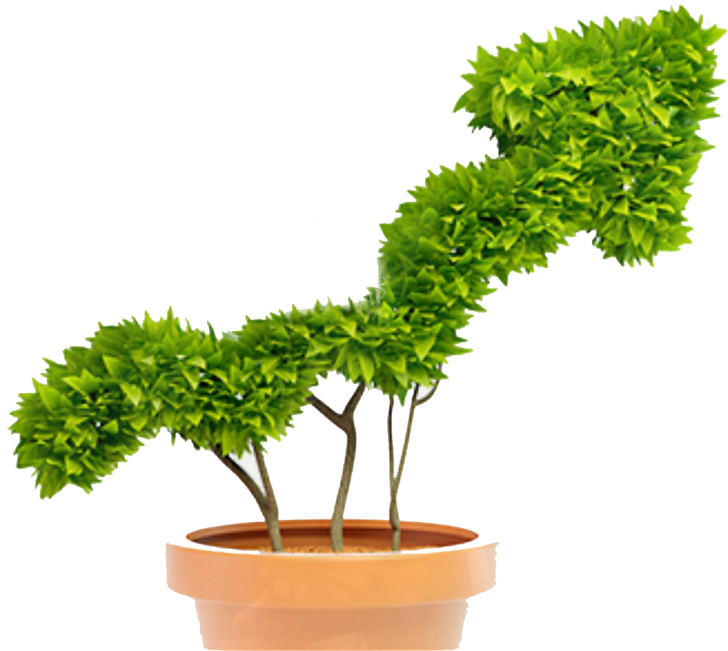 Tree-growth